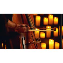 Les cordes en scène - 31 octobre 2026