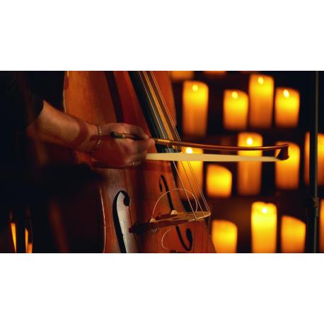 Les cordes en lumière - 31 octobre 2026